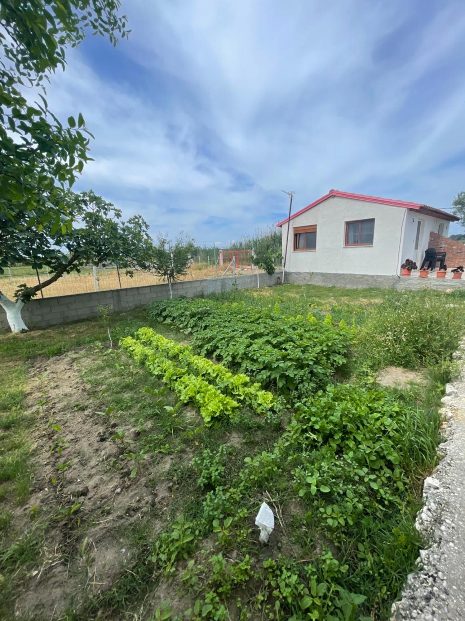 Casa de Férias Diarla's 2 *